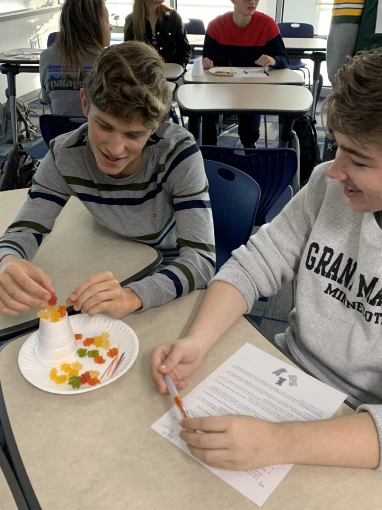 Two high school students working at their table with cups and gummy bears.
