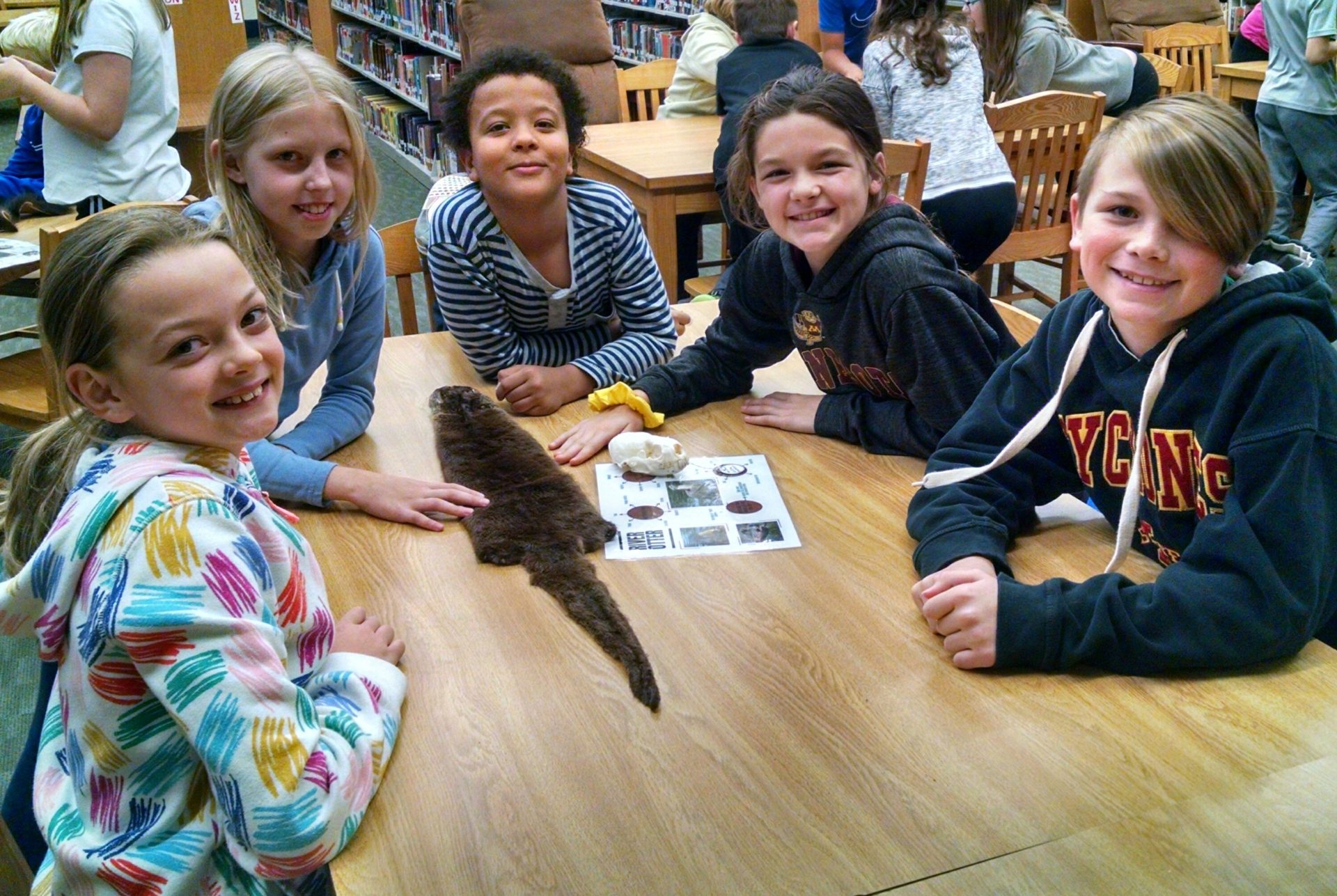 A group of students at a table with an animal pelt.