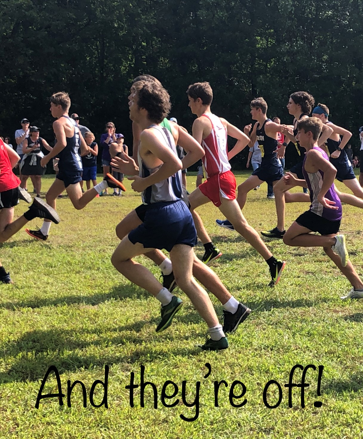 Boys cross country athletes running with the statement "and they're off!"