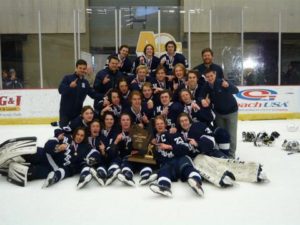 Image of boys hockey 16-17 state champs